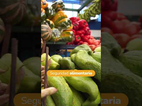 Desde el Casanare, las voces del territorio nos recuerdan por qué es fundamental proteger los suelos