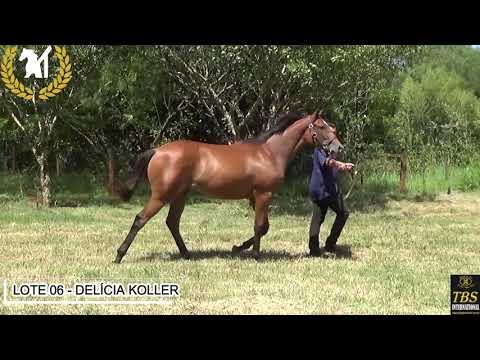 LOTE 06 - DELÍCIA KOLLER