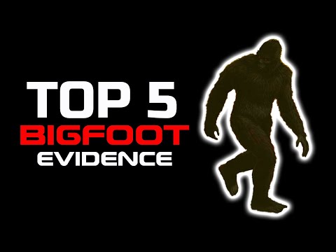 , title : 'TOP 5 Bigfoot Evidence'