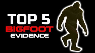 TOP 5 Bigfoot Evidence