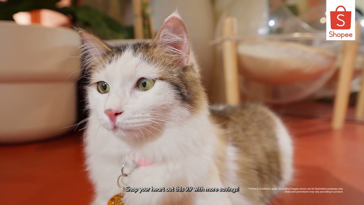 This coming 9.9 Super Shopping Day ✨