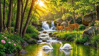 Deep Sleep Music 🌿 Calm Your Mind with Relaxing Music and Water Sounds