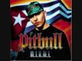 Krazy Lil Jon Pitbull