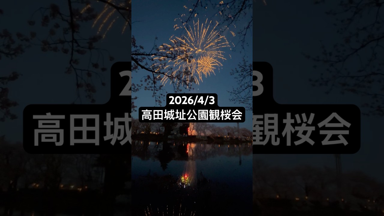 2026/4/3 高田城址公園観桜会オープニング花火【裏観覧】