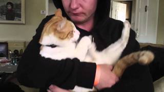 The Death Set and Win Win U.S. Tour Diary Part 2