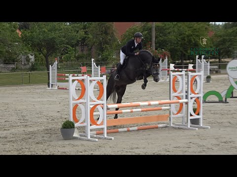 Corfield v. Cellestial - Canoso, OS, Hengst * 2018