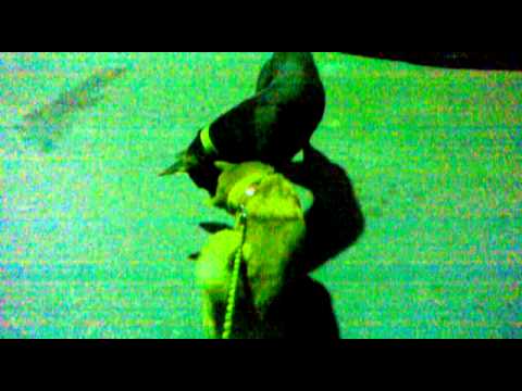 年糕現在唯一的狗麻吉(原發表者:hebe033)(影片)