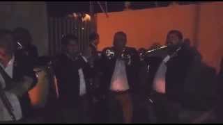 Banda Agua Caliente en Vivo Perla Azul