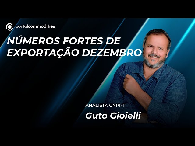 Dezembro inicia com exportações fortes