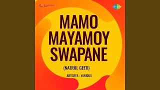 Download lagu He Madinabashi Premik Dharo Haat Mamo mp3