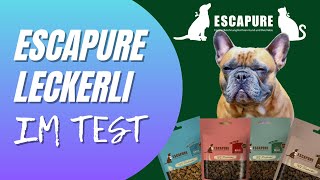 ESCAPURE Hunde Leckerli im Test - Geeignete Snacks für das Hundetraining? Cuba testet