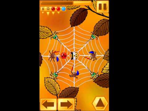 Bee VS Spiders Video