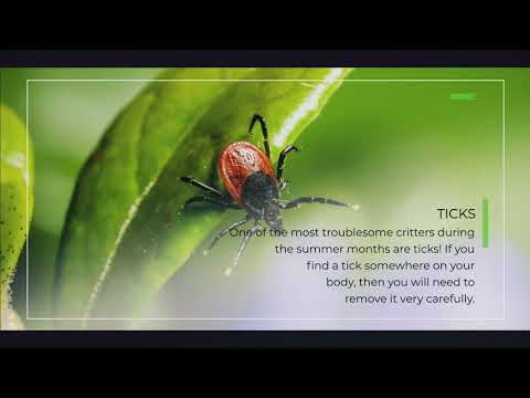 How to Treat Stings & Bites This Summer | Vaughn Pharmacy