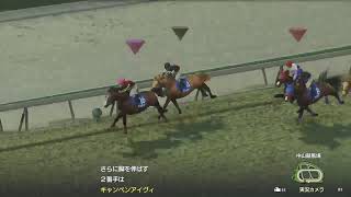 寝る前に愛馬育成