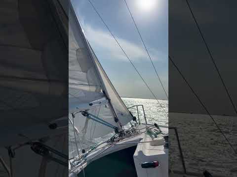 J22 sailing under Commodore Barry bridge. #sailing #j22 #sailboat #philadelphia