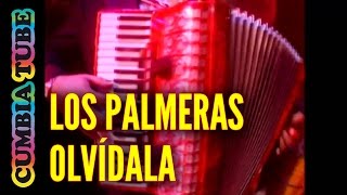 Musik-Video-Miniaturansicht zu Olvídala Songtext von Los Palmeras