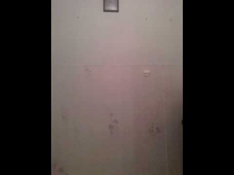 BUCK JUUGIN x ALVIN ABYSS z ONNAT