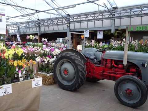 ORCHIDAY'S 2017 TRUFFAUT GOURNAY