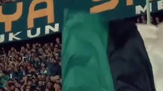 Download lagu story wa persebaya🐊 # storywa #persebaya #bonekmania #setyastory mp3