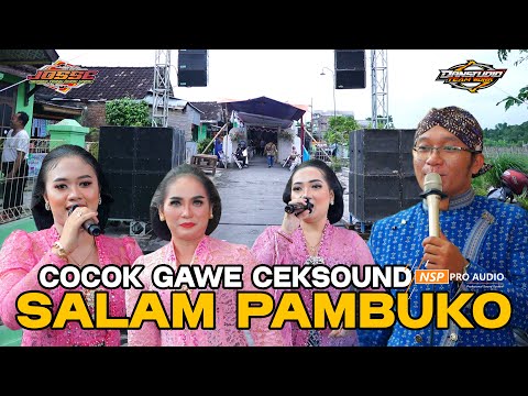 AUDIO GLERR..GENDING SALAM PAMBUKO  - JOSSE MUSIC - NSP AUDIO - danstudioHD