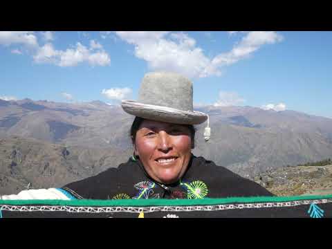 STORYTELLING "MOCOMOCO LA MAGIA DEL MEJOR DESTINO CULTURAL"