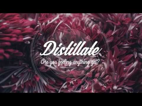 Miles Chancellor - Wise Guys (Prod. sketcho/Buenodidit)