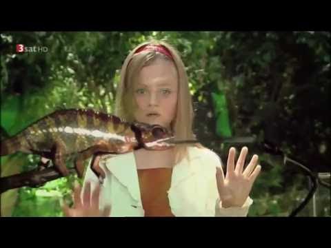 NEWW!!  Zeitreisen   Wurmlöcher   Das Mysterium der Zeit   Spektakuläre neue Erkenntnisse   Doku 201