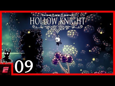 Reich der Pilze #09 - Hollow Knight