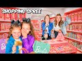 THE GIRLS STOLE MY CREDIT CARD WENT ON A SHOPPING SPREE 🫣 HallieOnStage114 Agset211 Omg