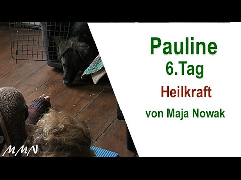 Heilkraft - Pauline 6.Tag - von Maja Nowak