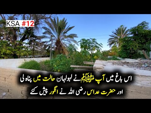 Taif Mn Woh Bagh Jahan Hazoor s.a.w Nay Pnah li Aur Hazrat Addas Any Apko Angoor Pesh Kiay | طائف