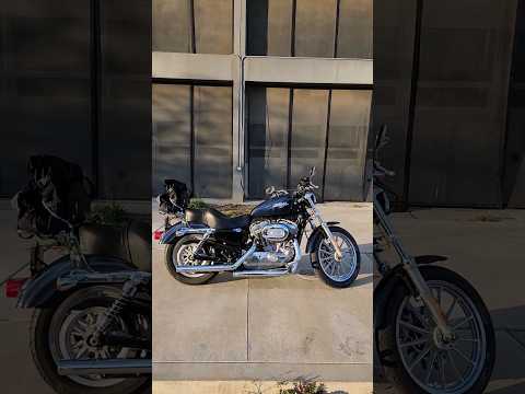 2008 Harley Davidson Sportster XL883L + V&H #startup #sound