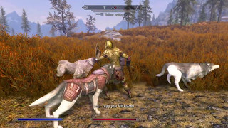 Skyrim PS4 Mod: Wolf Pack