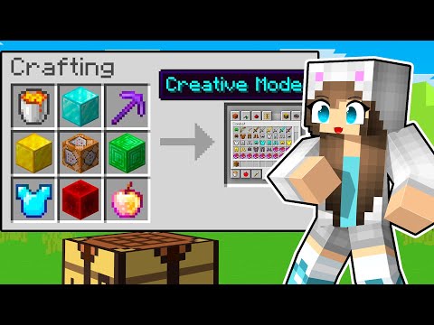 MINECRAFT MA POSSIAMO CRAFTARE LA CREATIVA