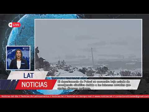 Emergencia en Potosí: Nevadas Intensas Afectan a Miles de Familias y Ganado