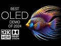 BEST OLED DEMO OF 2024 DOLBY VISION 12K HDR 120fps