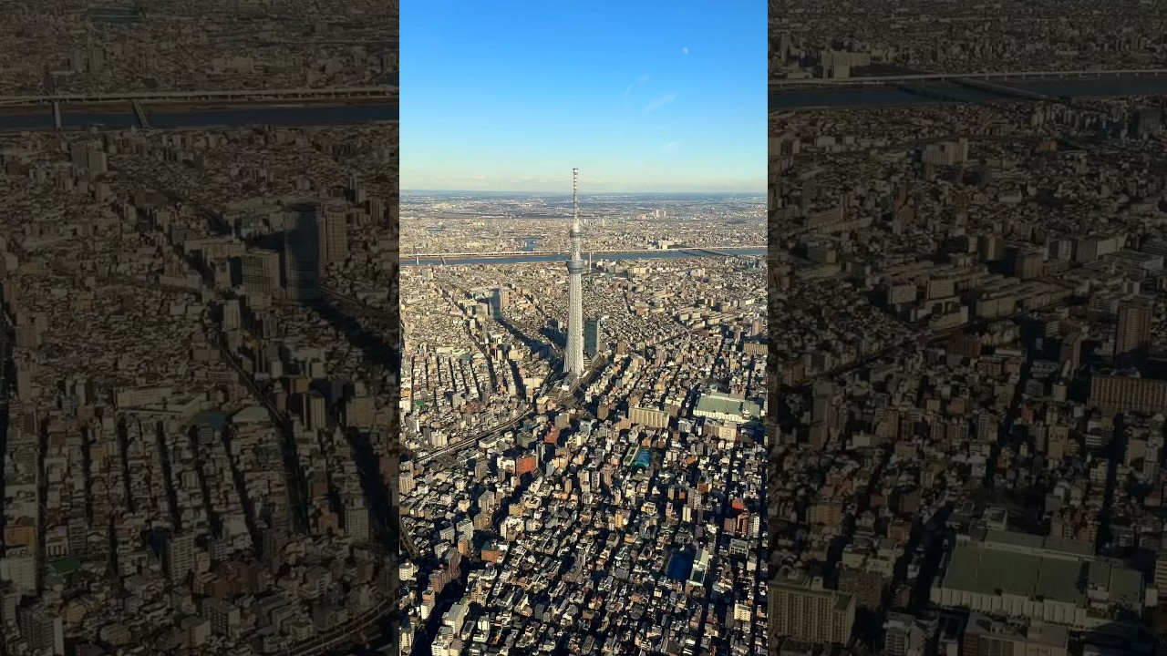 YouTube Short thumbnail