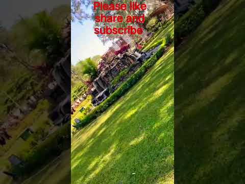 natural waterfall#trending #Veekshith Reddy #short #yshort #forest