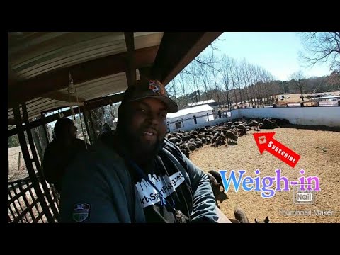 Hog Hunt Tournament Weigh-in (903)FlipEm'Boyz