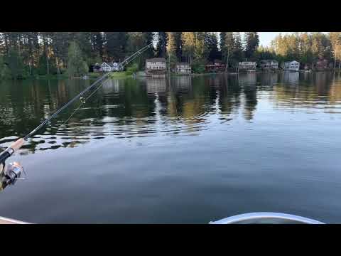 Spencer Lake Mason County 5/7/2020