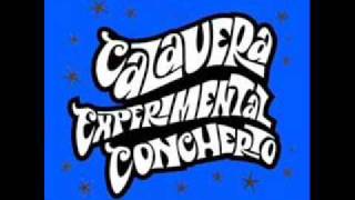 Los Fabulosos Cadillacs - Siempre me hablaste de ella (Calavera Experimental Concherto)