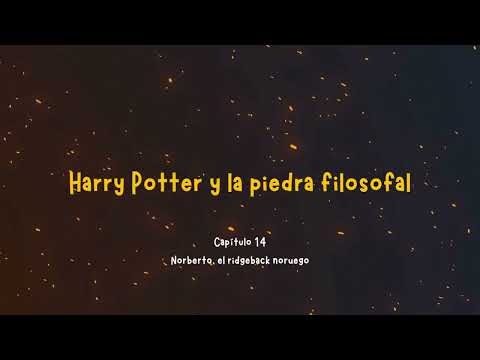 14 Norberto El Ridgeback Noruego - Harry Potter La Piedra Filosofal