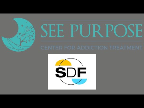 SEE Purpose Treatment Center | Dave Smith on Emotional Balance