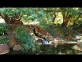 A Must Visit - Harold Boas Gardens Perth, Western Australia