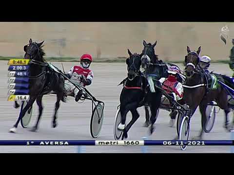 Aversa trotto 6 Novembre 2021 - 1° Corsa