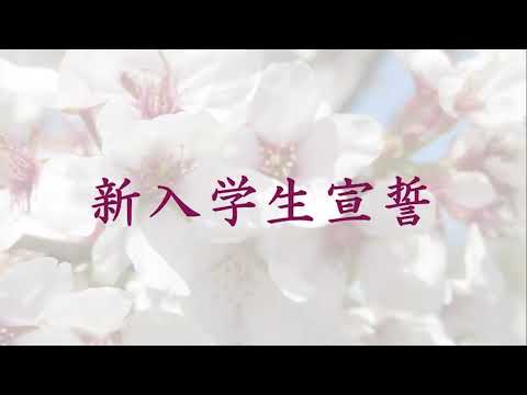 経営学科 【作新大／作新短大】令和7年度入学式（ダイジェスト版）