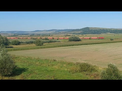 [4K] DB Cargo Romania DA 60-9011-5 with 30 Tadgs cereals car heading to Pascani [September, 2021]