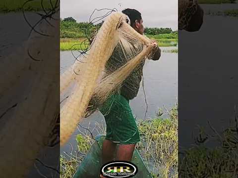 Santa Joana Vitória do Mearim Maranhão. #turismonordeste #flamengo