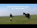 How To Ride A Horse Smoothly A Beginner S Guide On How To Ride A Horse Smoothly