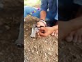 Kafila Re Hoga Tera Sher Warga Mare Pichkari Se Naam Bole Se Marenge Ladle Tane Kutta Billiyan